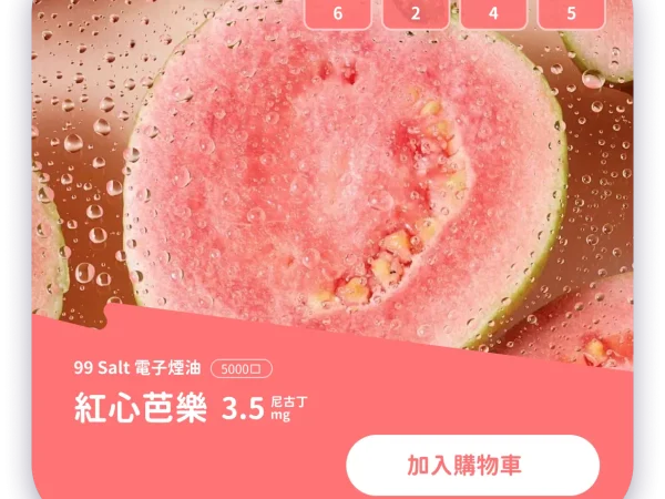 冰釀藍莓